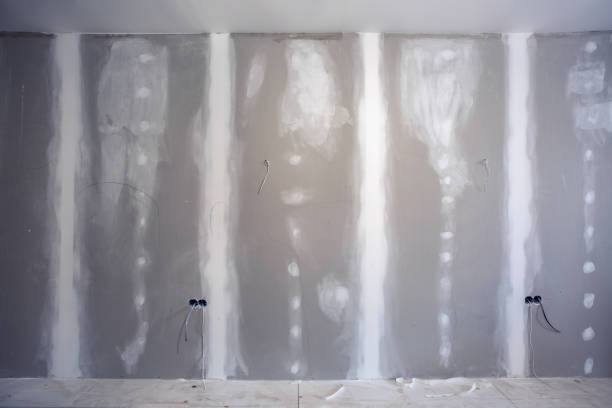 Best Environmental Consulting for Mold Prevention  in Crosbyton, TX